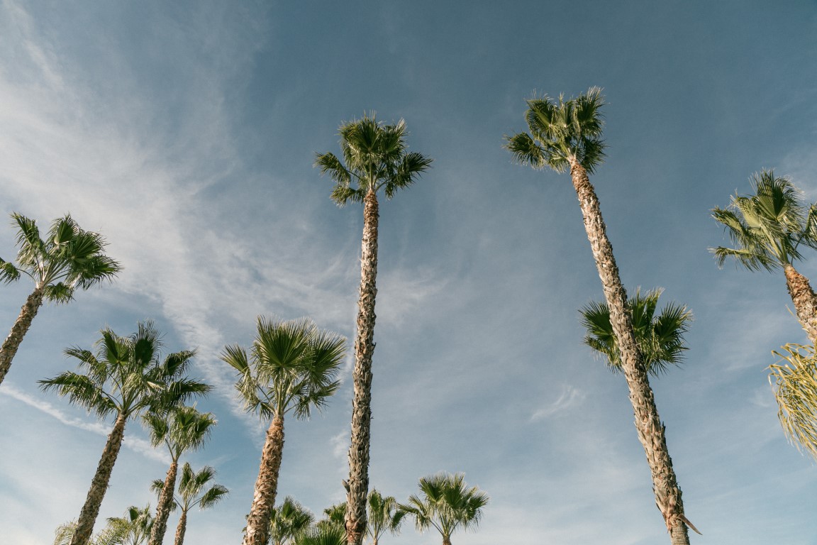 14 Best Things to Do in Temecula | Fieldtrip - Stayfieldtrip